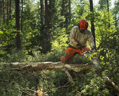 Husqvarna 562XP Mark II Petrol Chainsaw, 59.8 cc, 3.5 kW Power, 45 cm Bar