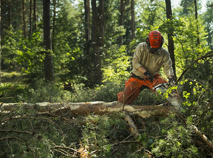 Husqvarna 562XP Mark II Petrol Chainsaw, 59.8 cc, 3.5 kW Power, 45 cm Bar