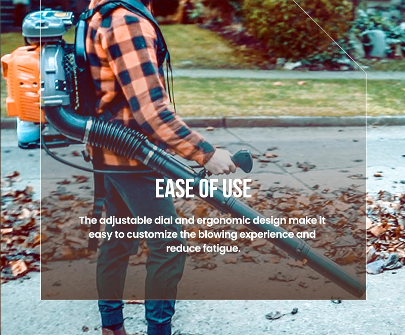 Schröder SR-6400L Backpack Gas Leaf Blower, 3.7 HP Engine