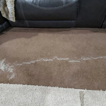 Pet Hair Remover Rake